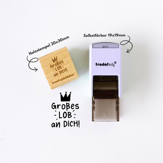 Lehrerstempel Großes Lob an dich Motivation, Schule, Belohnungsstempel, Grundschule Stempel, Gut gemacht Stempel Bewertung Schule Note HS051