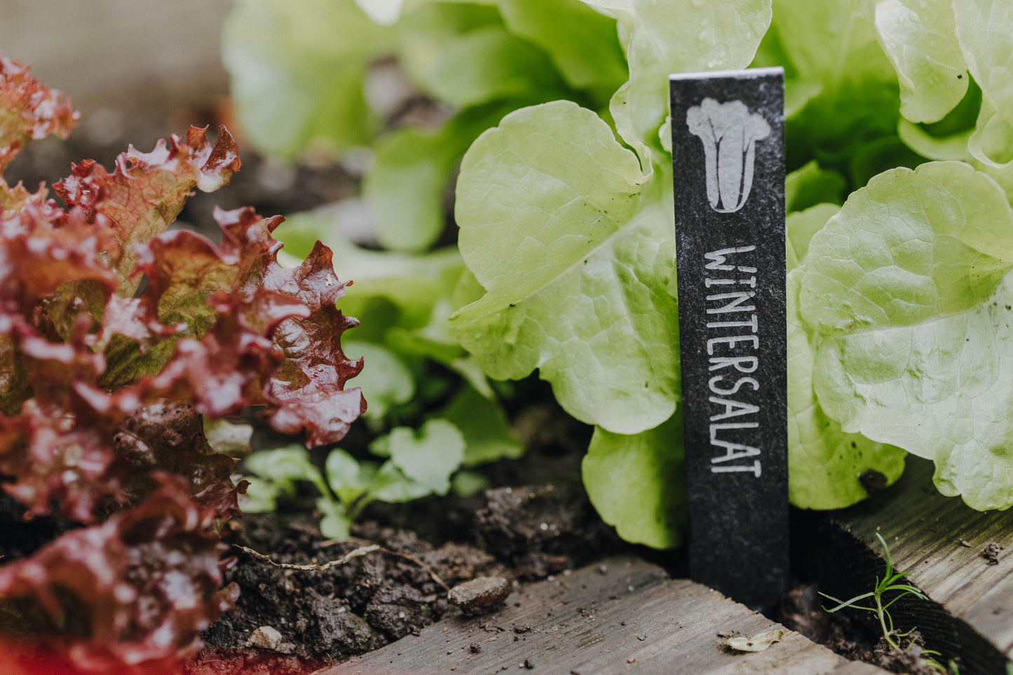 personalisierbares Pflanzschild, Gartenstecker, Pflanzenstecker, Schiefer Pflanzenschild, Pflanzen beschriften, Garten Geschenke GU004