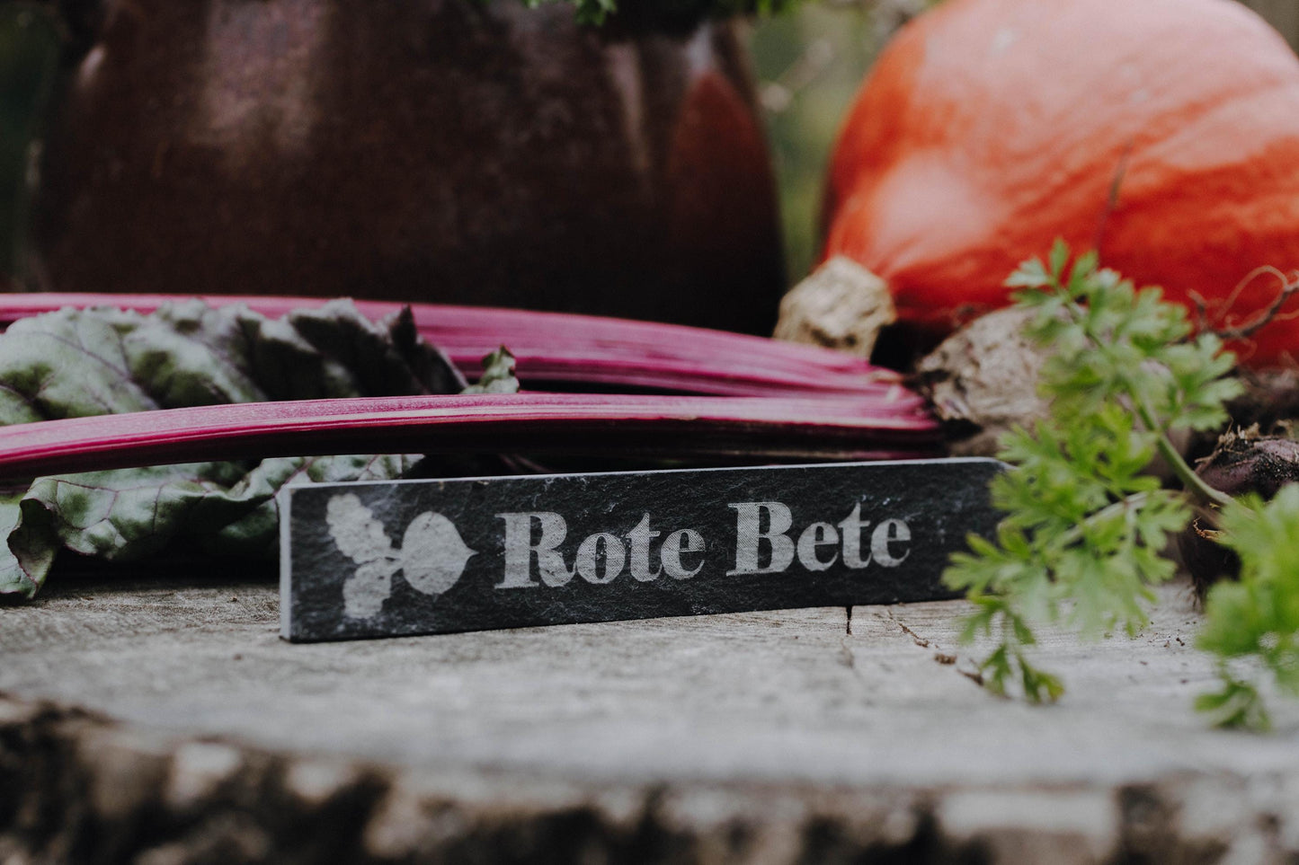 personalisierbares Pflanzschild, Gartenstecker, Pflanzenstecker, Schiefer Pflanzenschild, Pflanzen beschriften, Garten Geschenke GU004