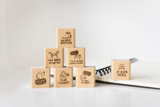 Lehrerstempel Set A französisch, Motivationsstempel, Schule Stempel Set, Belohnungsstempel, Grundschule Stempel, Gut gemacht Bewertung HS031