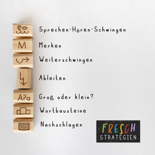 Lehrerstempel Set Fresch Strategien Rechtschreibung Grammatik Schule Stempel Set Deutsch, Grundschule Zebra Stempel Korrektur HS086