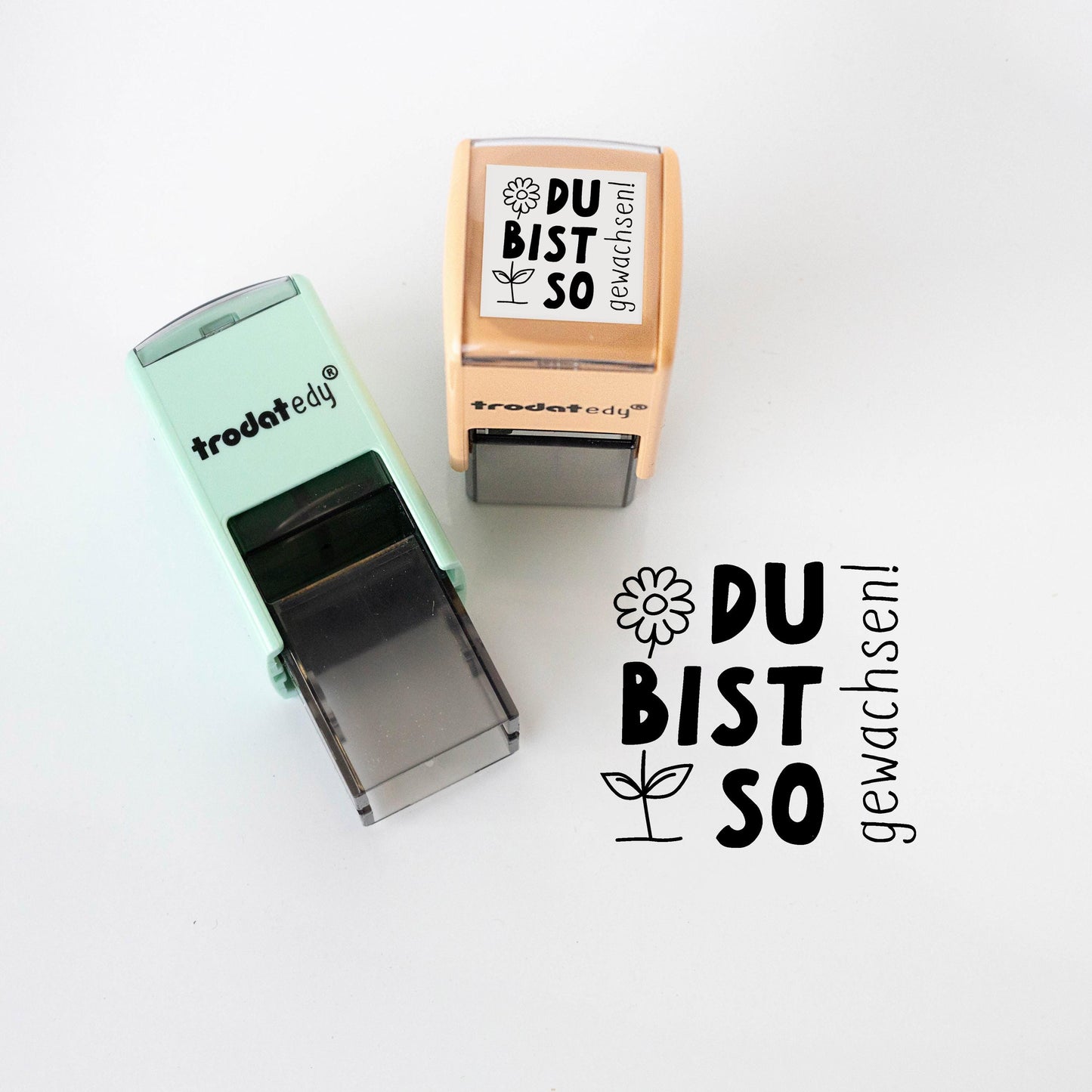Lehrerstempel "Du bist so gewachsen!" Motivation fleißig Schule Belohnungsstempel Growth Mindset Stempel Grundschule Geschenk PR028
