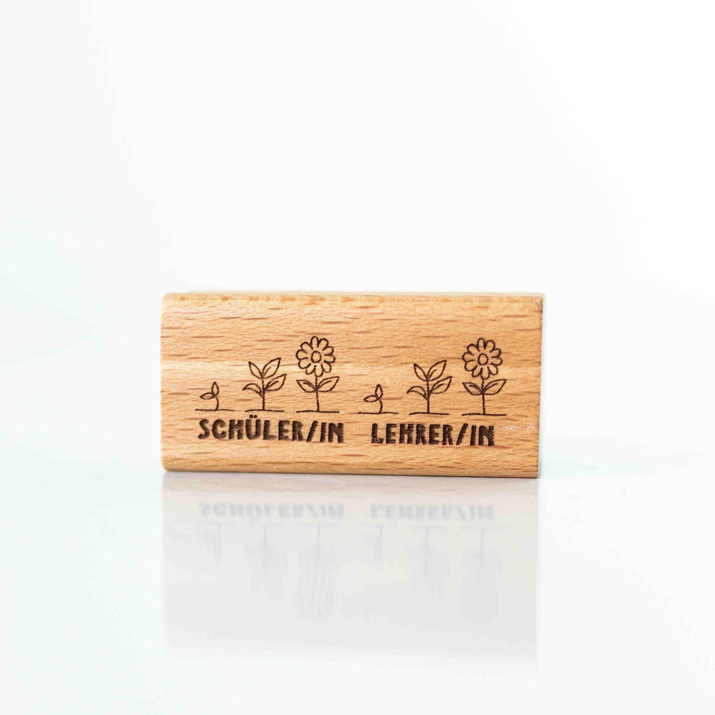 Lehrerstempel Growth Mindset Pflanzen C Motivationsstempel positiv Belohnungsstempel, Grundschule Selbstreflexion Wachstum Bewertung HS146