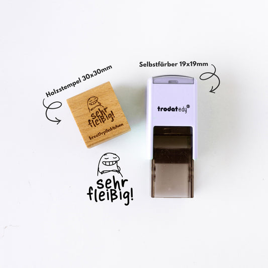 Lehrerstempel Sehr fleißig Motivation, Schule, Belohnungsstempel, Grundschule Stempel, Gut gemacht Stempel Bewertung Schule Note HS044