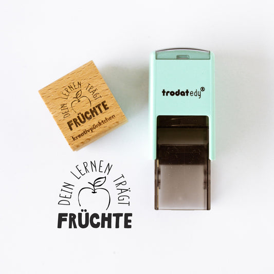 Lehrerstempel "Dein Lernen trägt Früchte" Motivationsstempel positiv Belohnung Grundschule Growth Mindset Rückmeldung Geschenk HS164